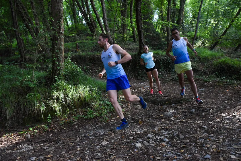 Three runners on a forest trail